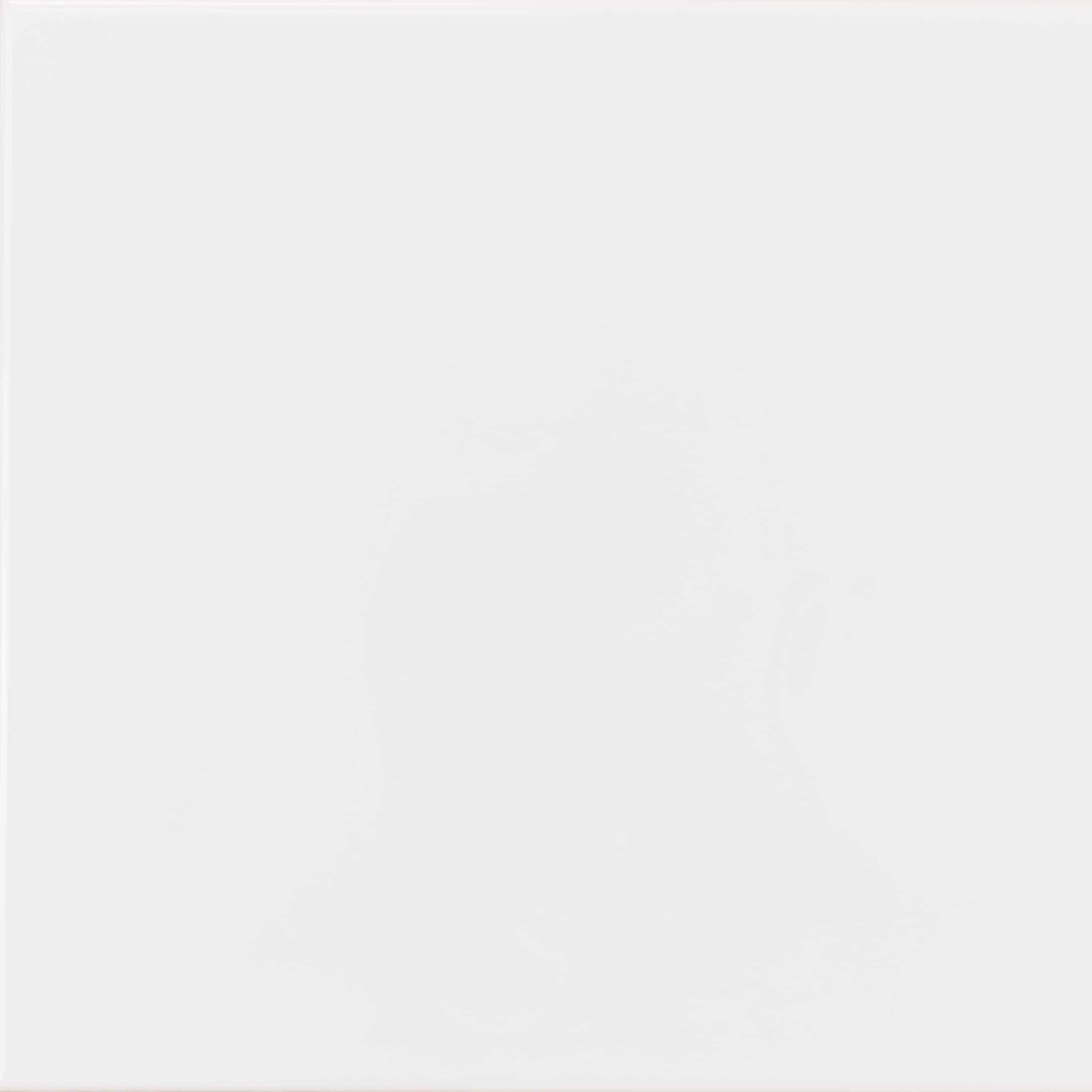 New Ice tile with a smooth white and gray pattern, perfect for modern interiors.