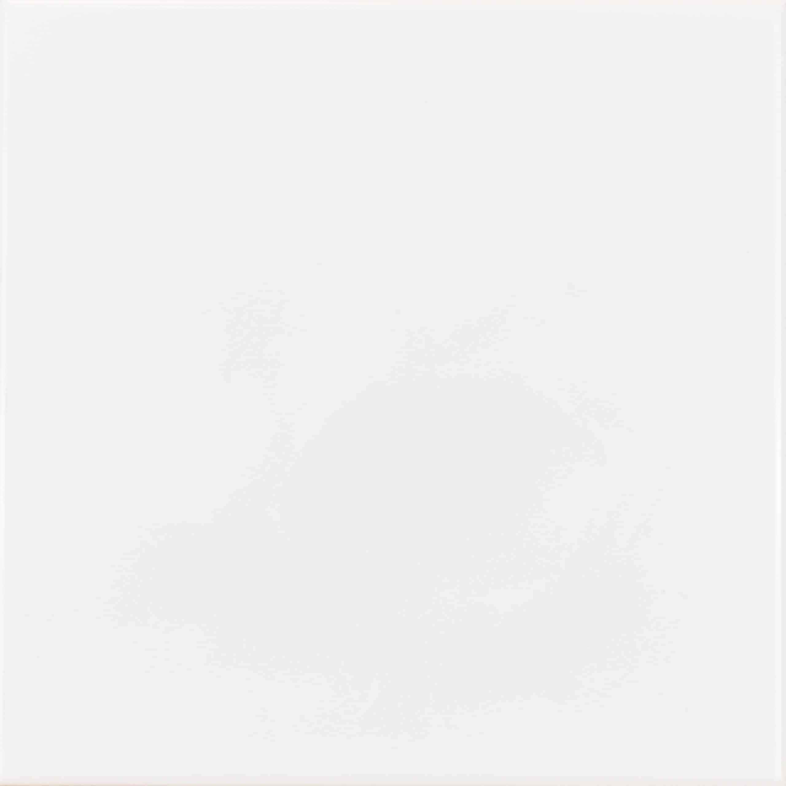 Image of a sleek and modern New Ice tile, perfect for adding a touch of elegance to any interior design project.
