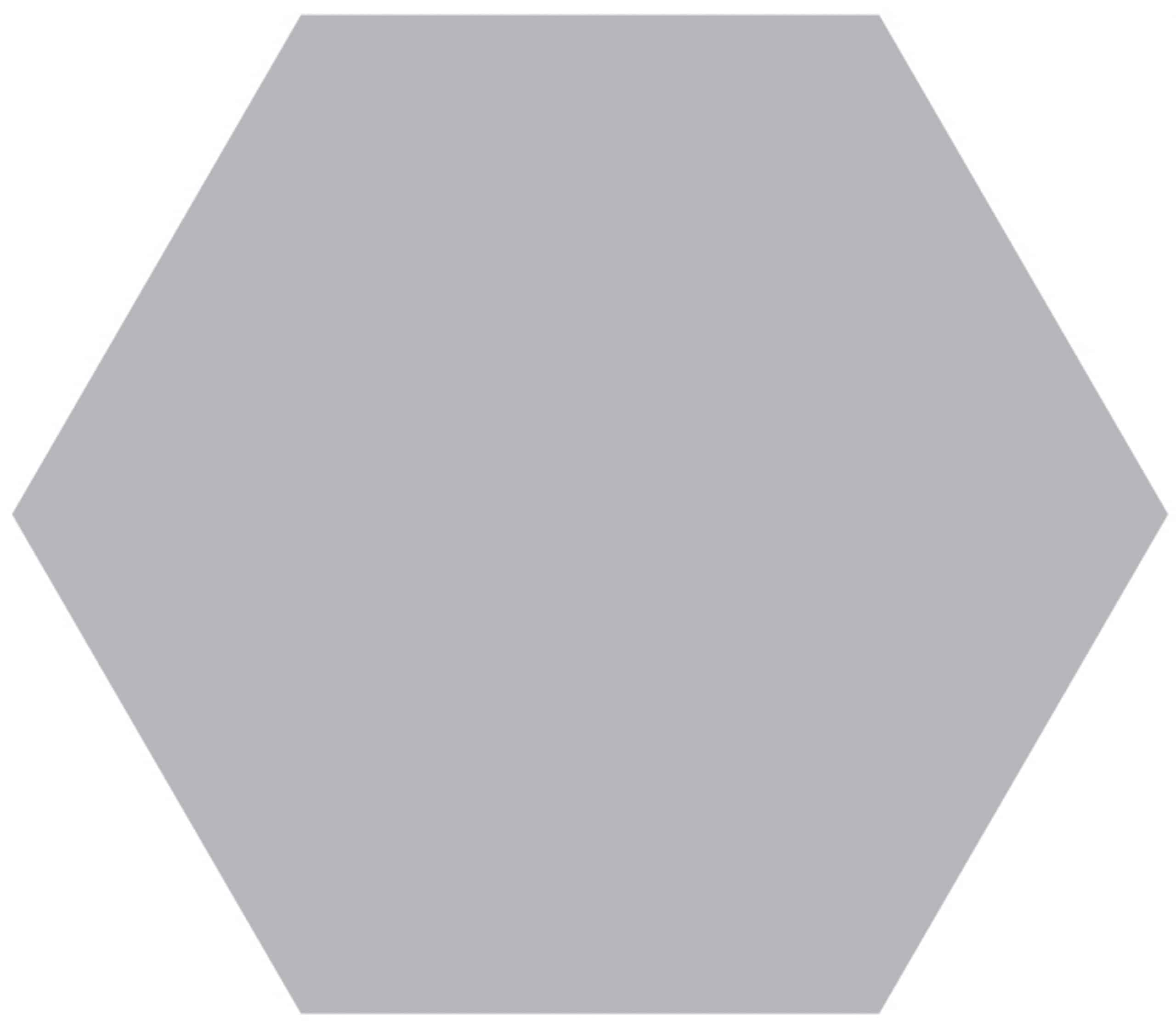 Grey Classic Hexagon Tile image