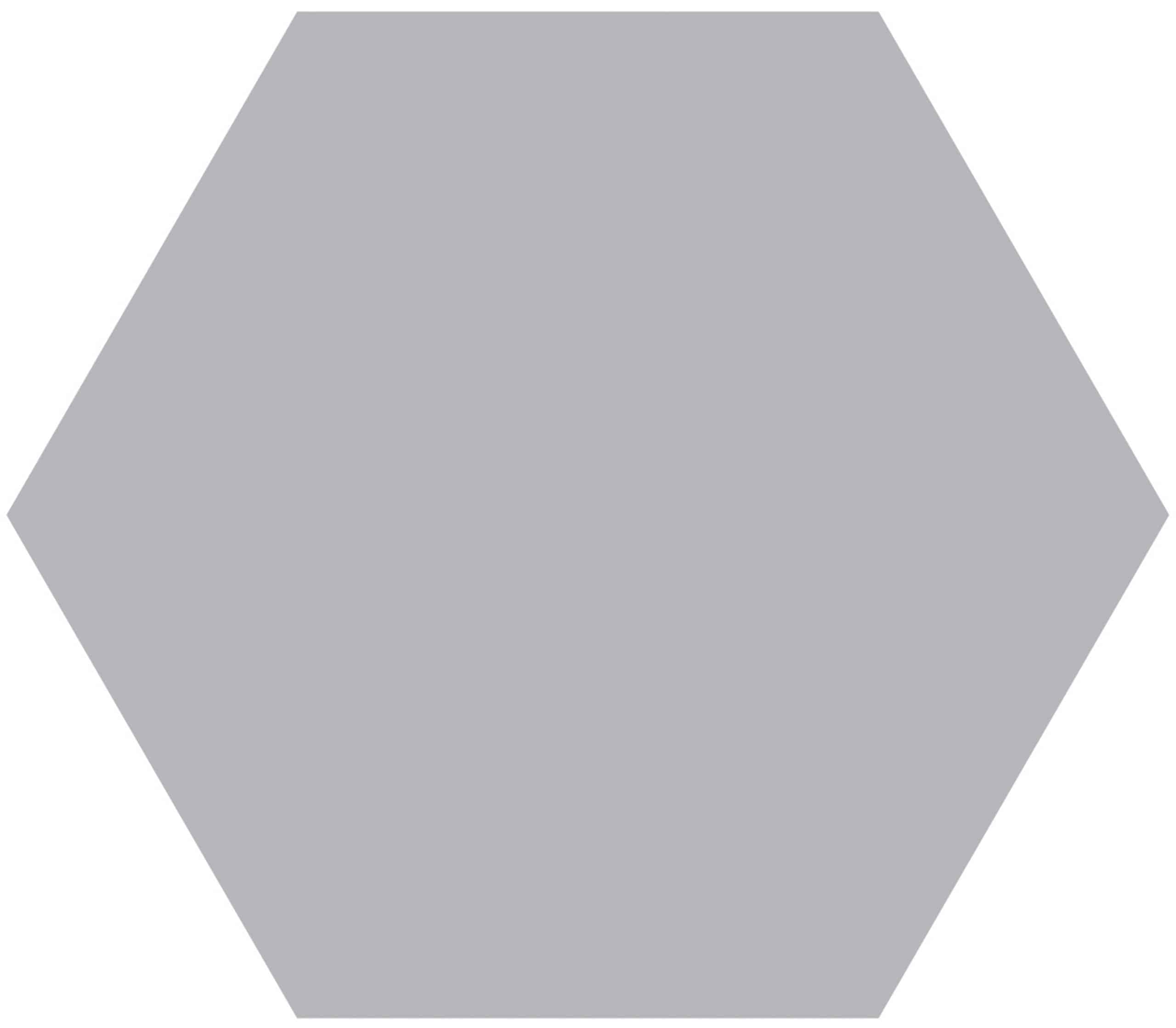 Grey Large Classic Hexagon Tile in a Scaled Pattern