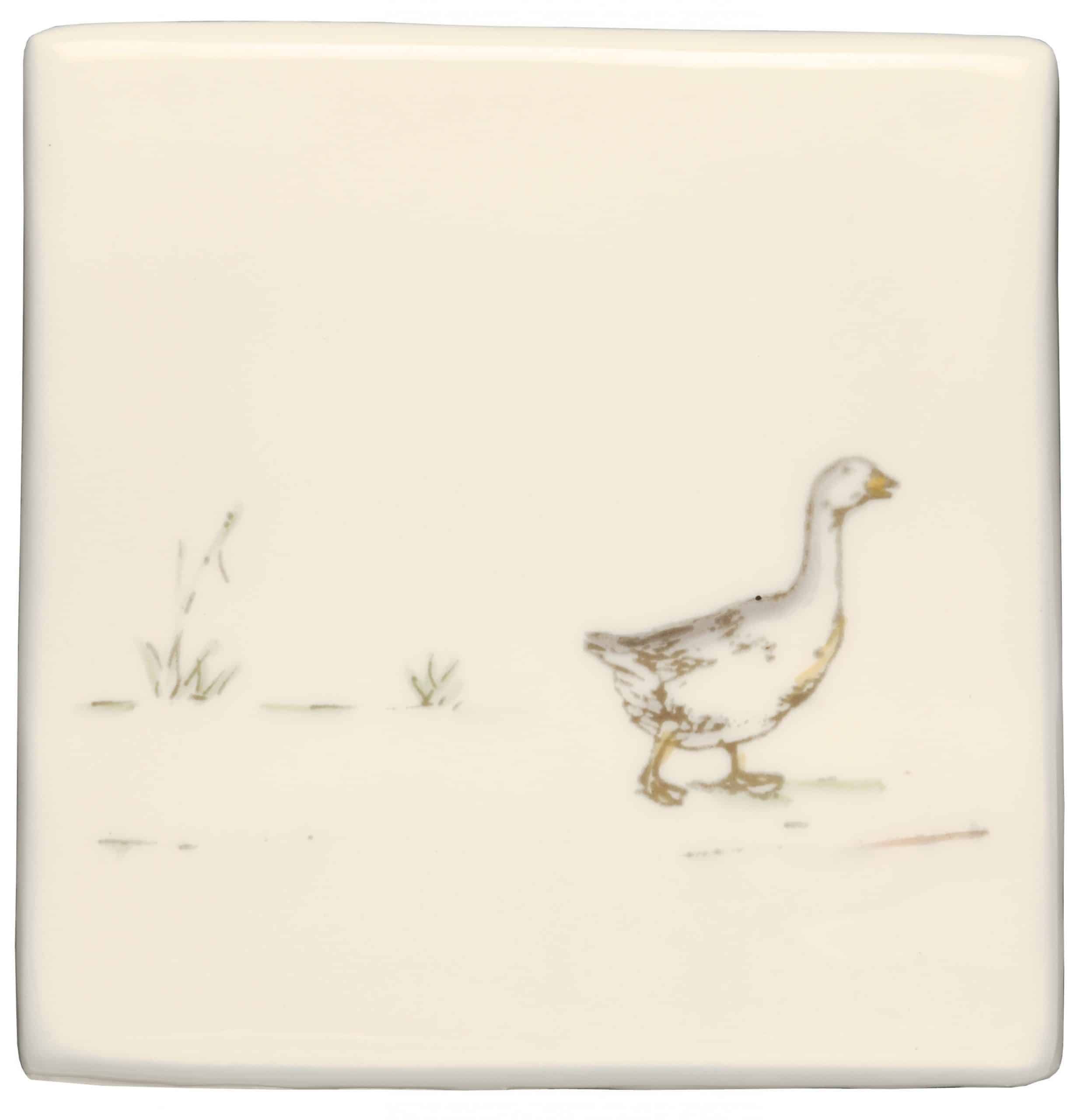 HP-1570 Goose scaled