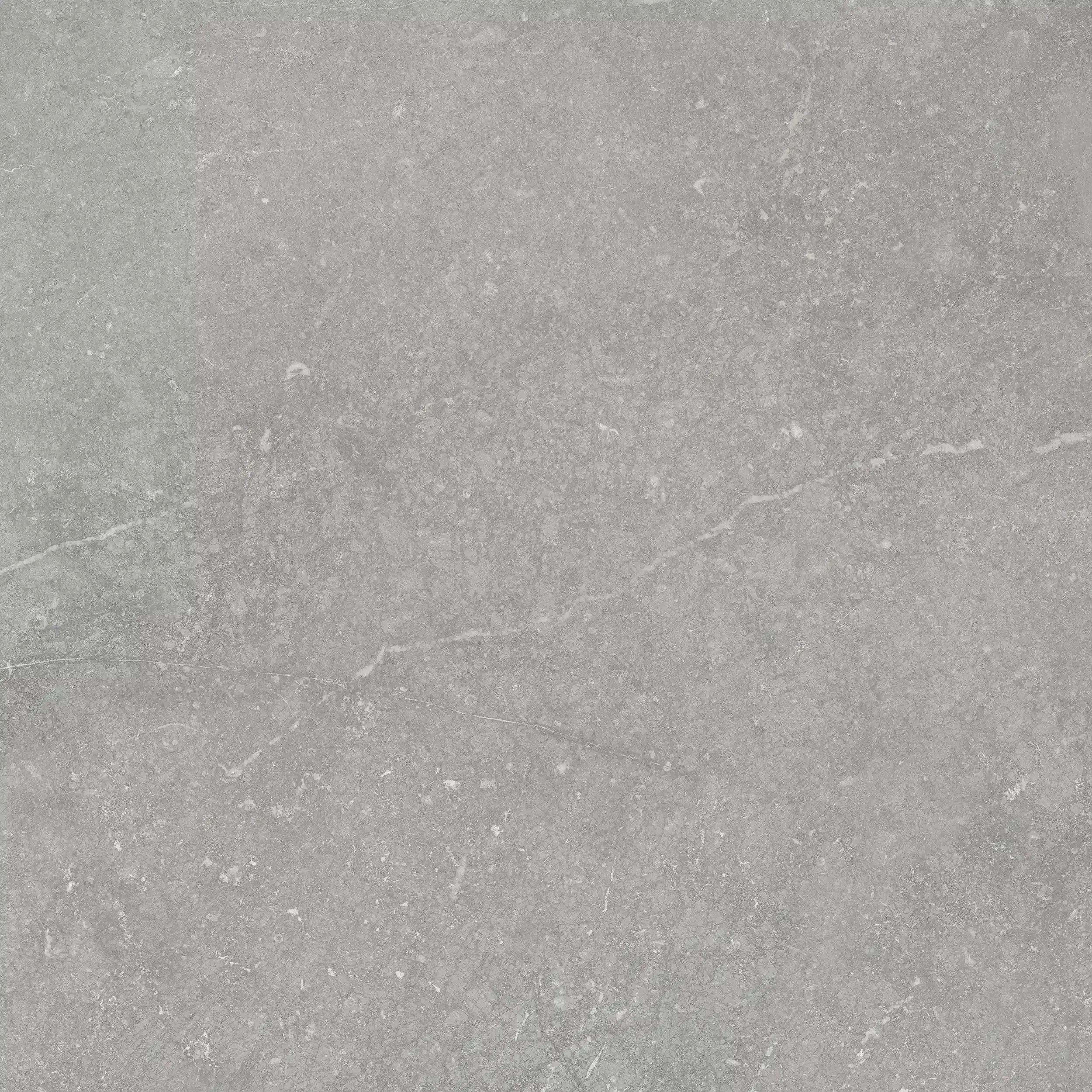 Sphinx tile design in a breathtaking pattern
